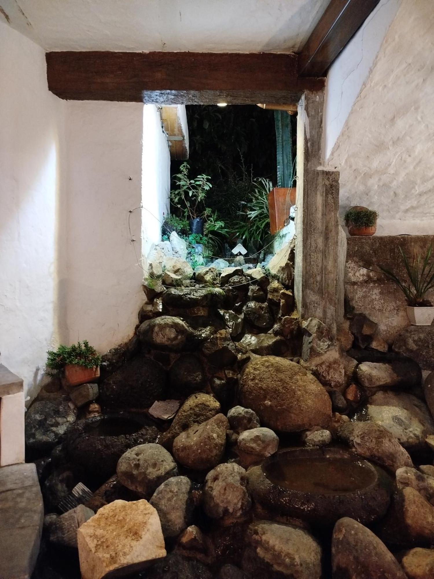 Patio Chic Homestay Jericoc (Antioquia)