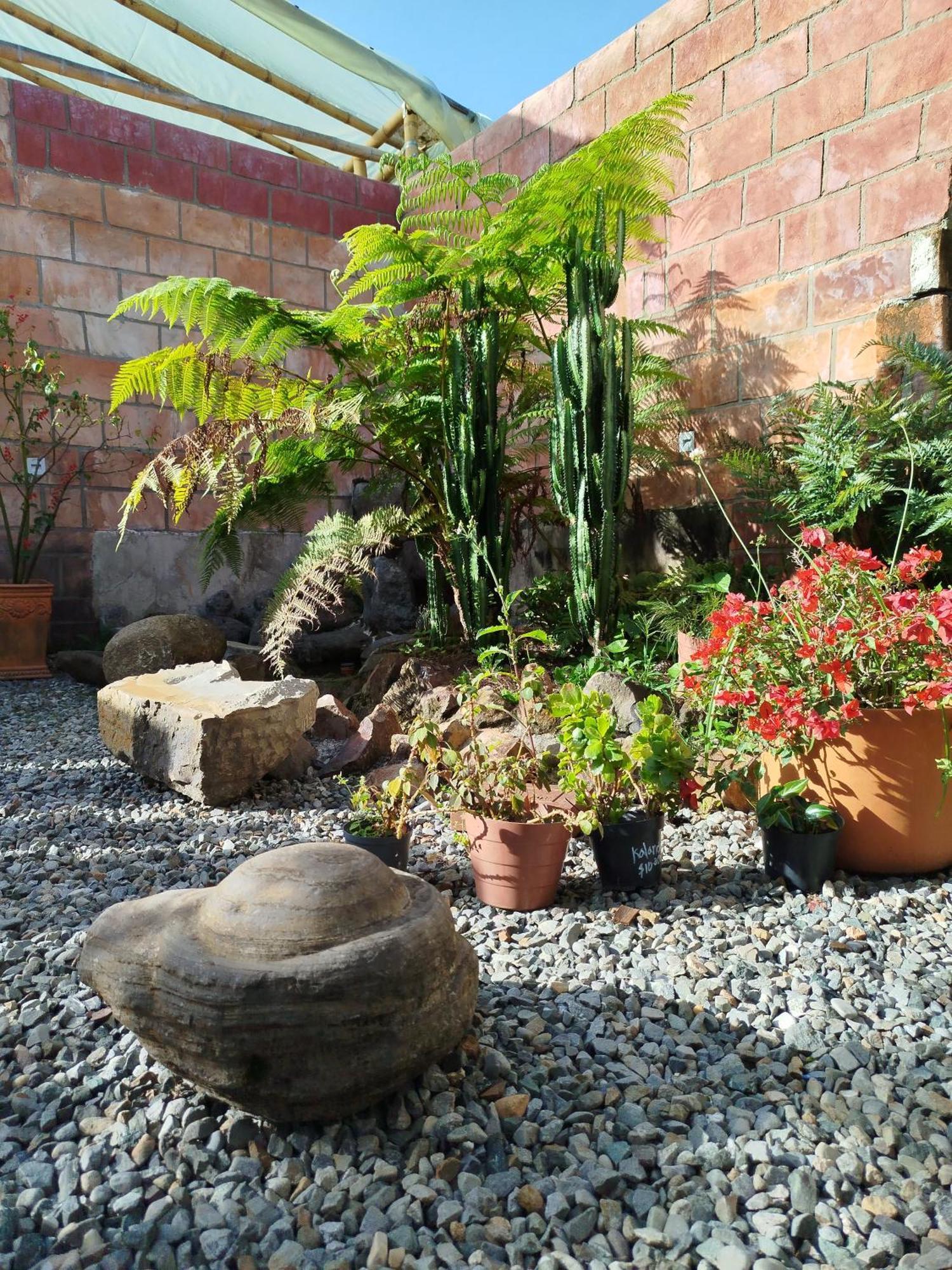 Patio Chic *