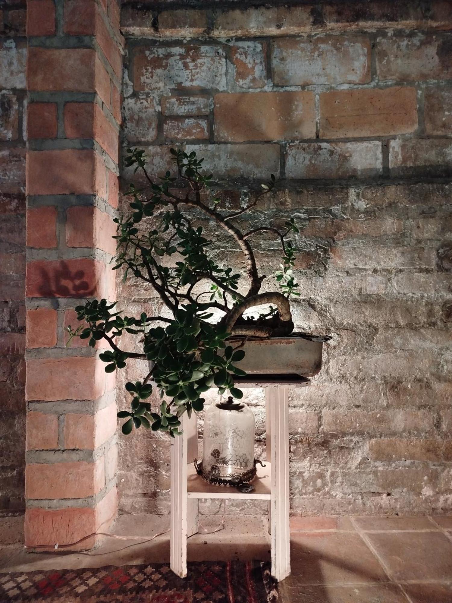 Patio Chic * Jericoc (Antioquia)